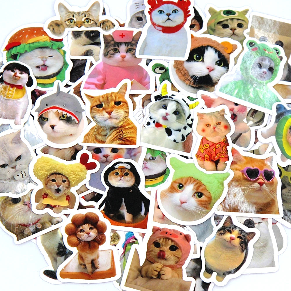 Funny Cat Stickers | 100/500/1000pcs