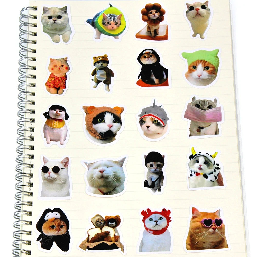 Funny Cat Stickers | 100/500/1000pcs