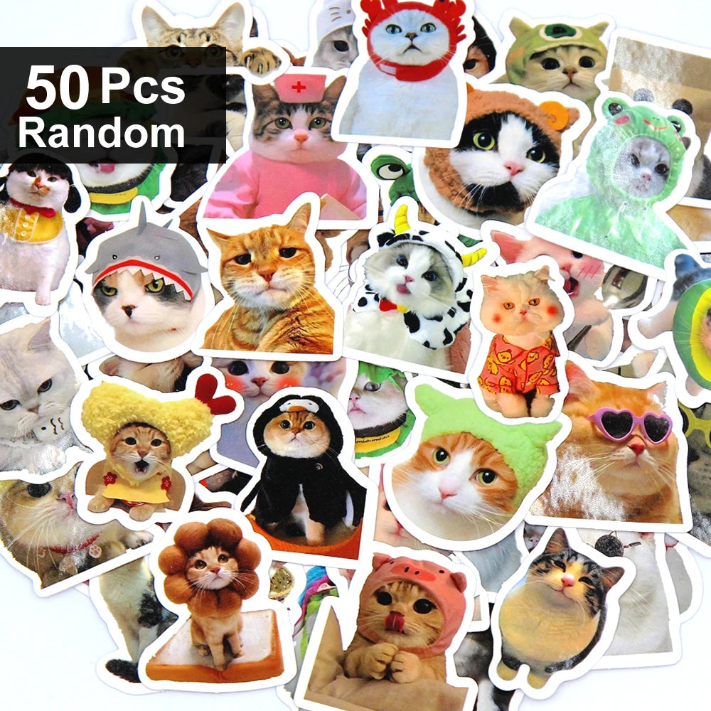 Funny Cat Stickers | 100/500/1000pcs